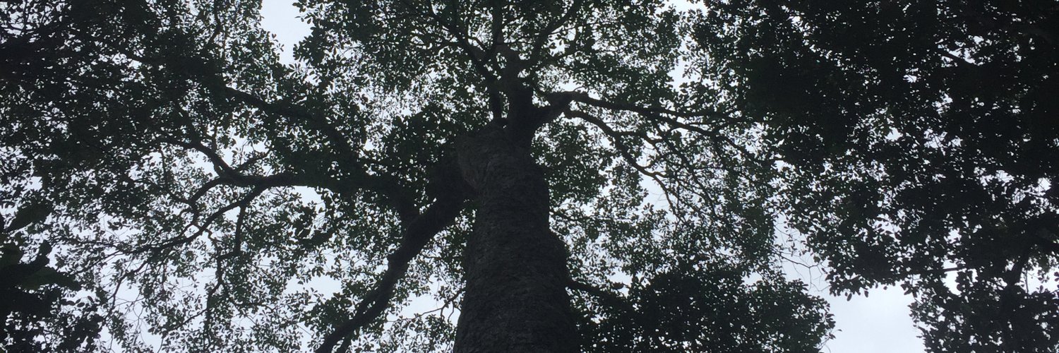 DaniGarAgu's profile banner image