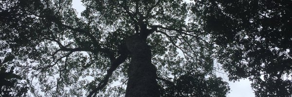 DaniGarAgu Profile Banner