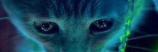 Isabel94564862's profile banner image