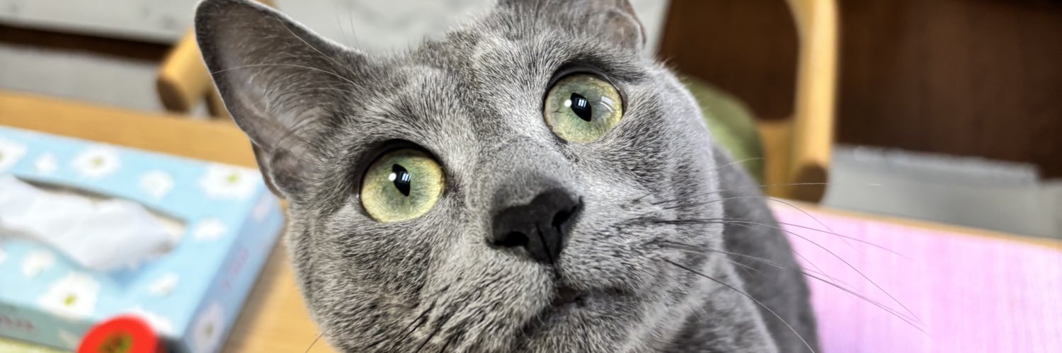 KimiYuk's profile banner image