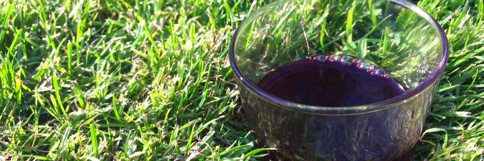 MacaWines's profile banner image