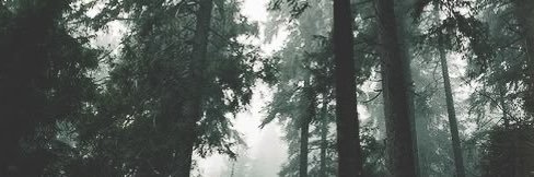 aurora_papack's profile banner image
