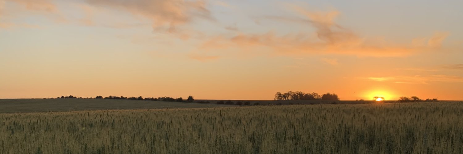 NicolasBonjour2's profile banner image