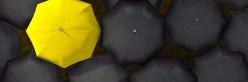 Thayarq's profile banner image