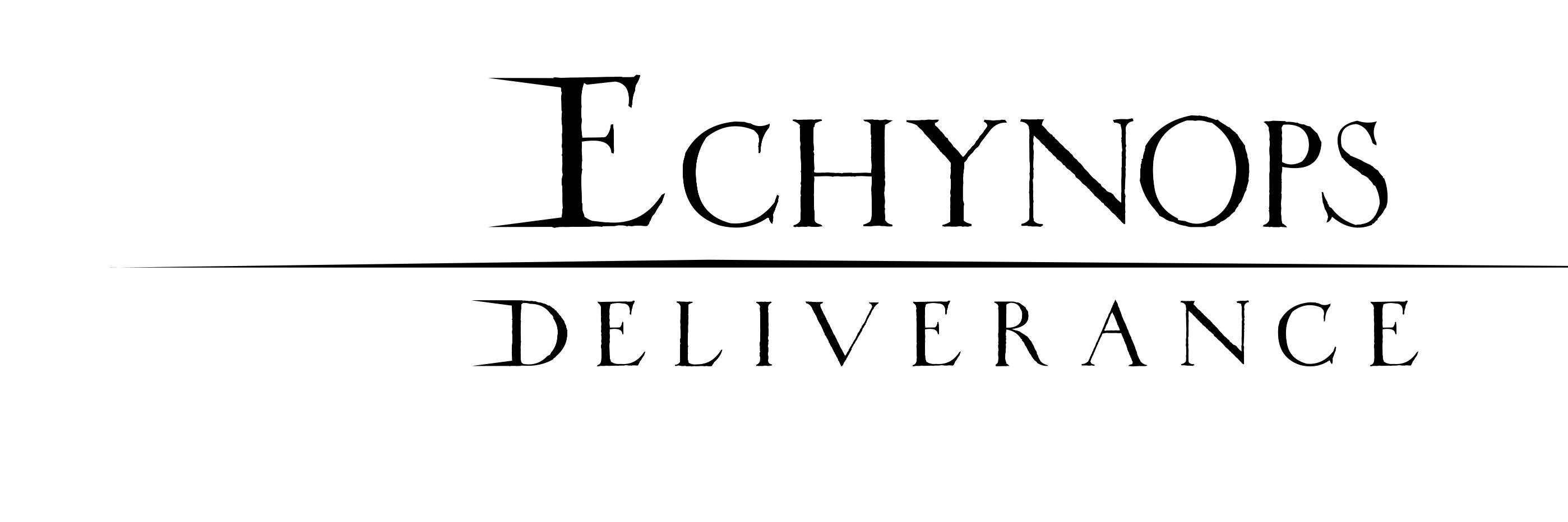 Echynops's profile banner image