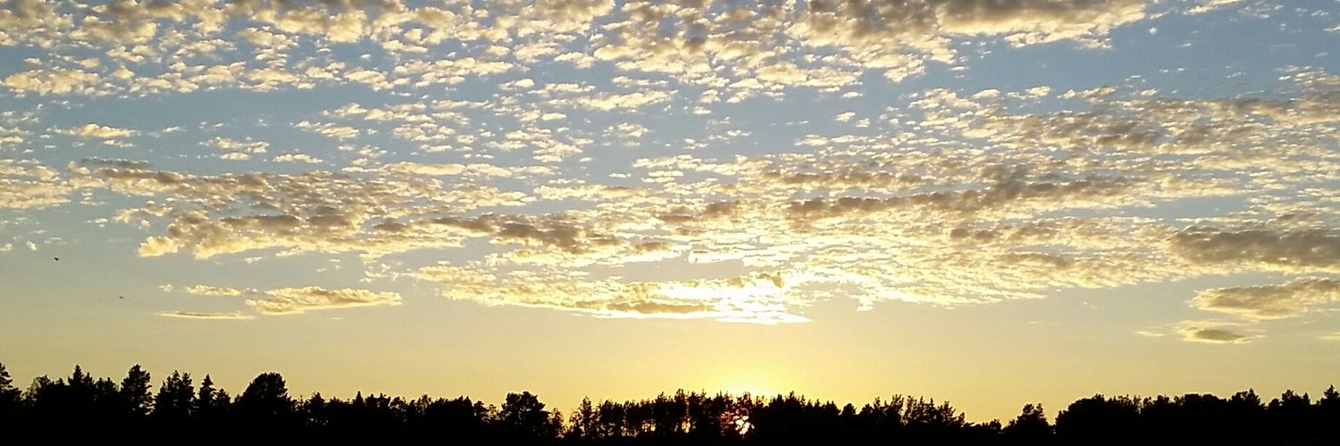 matildaost's profile banner image