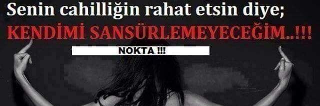 elif_yorukoglu's profile banner image