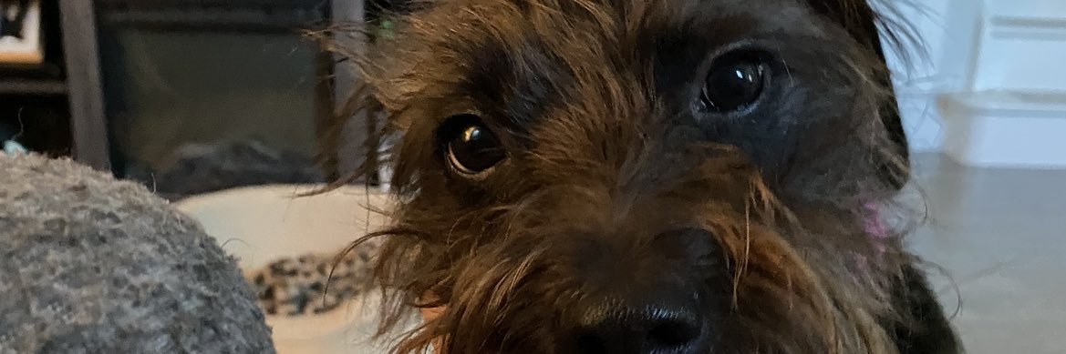 TheSoupJC's profile banner image