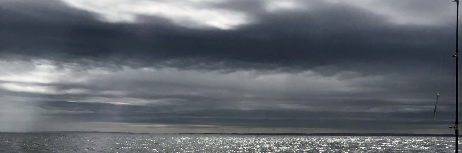 RachelMulroy's profile banner image
