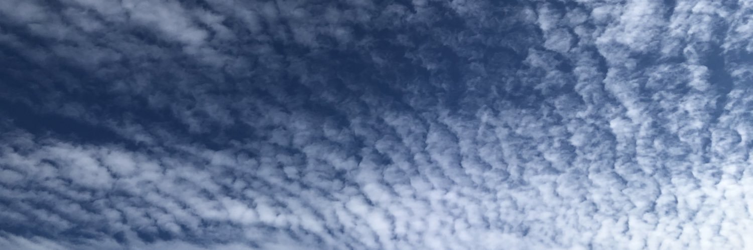 tometres's profile banner image