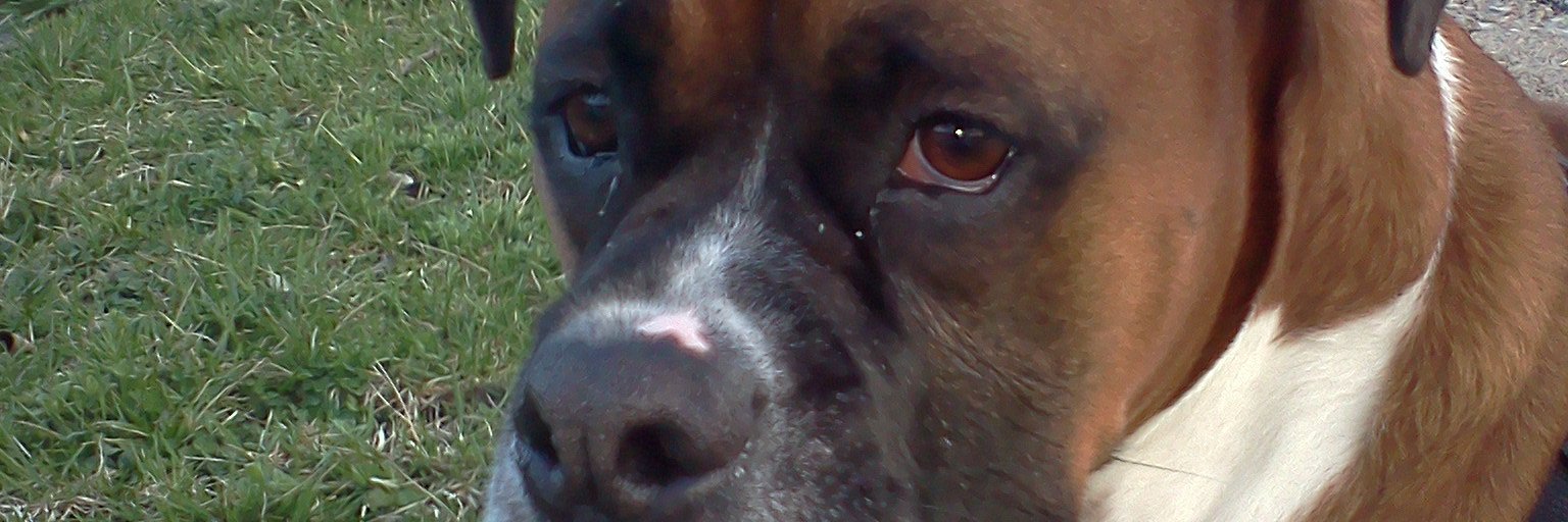 AnnieBeckner's profile banner image