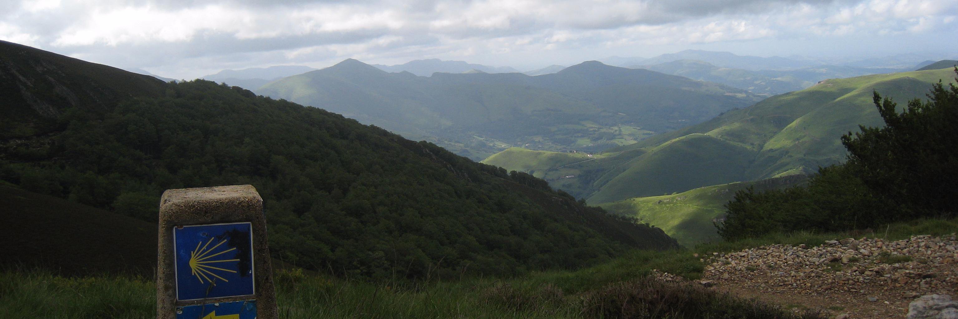 Fr. Simon Lobo banner