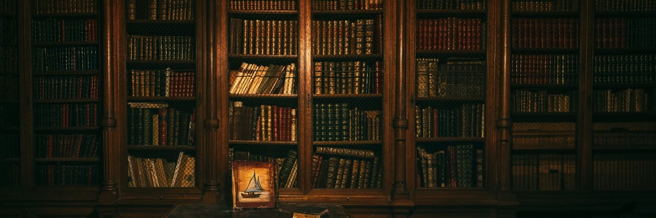 nancysjain's profile banner image