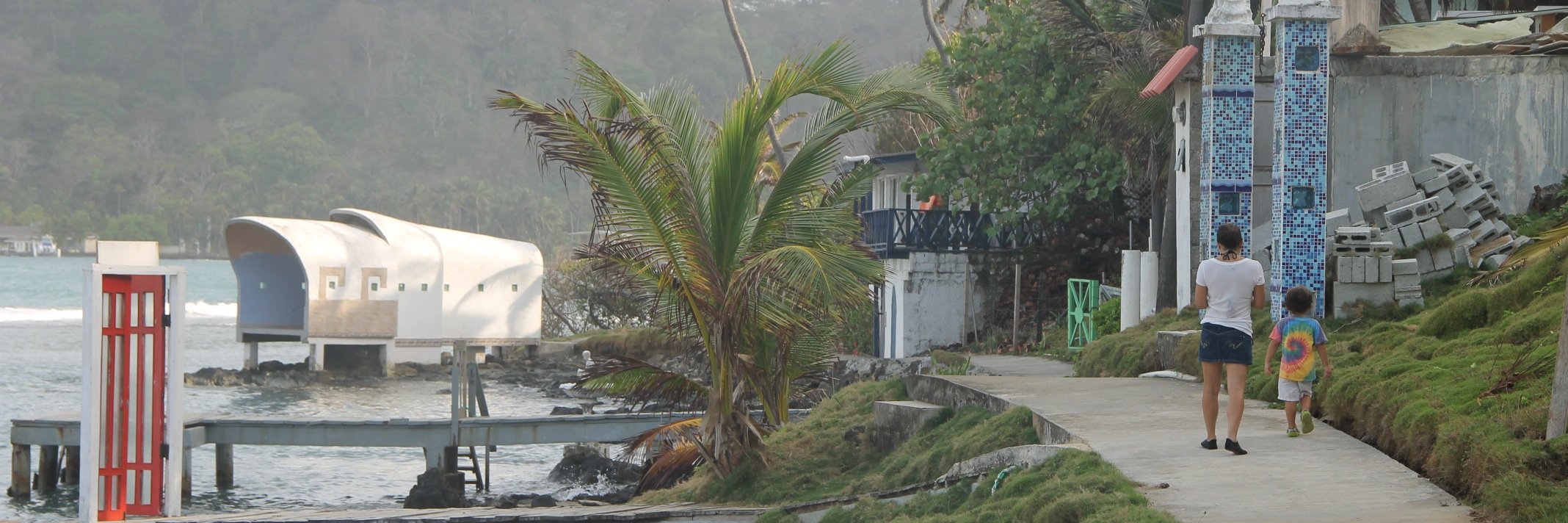 C Bryan banner