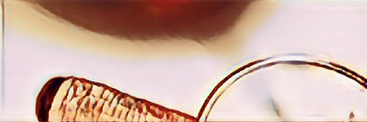 vina_tinta's profile banner image