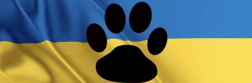 TaijaZeta's profile banner image