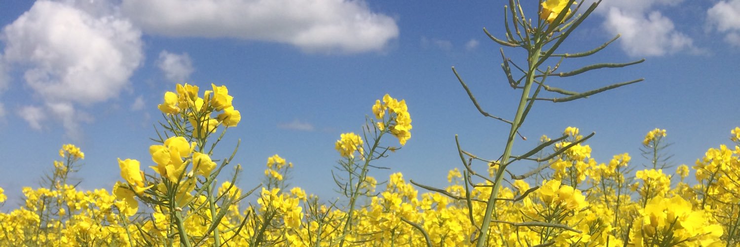 TAPAgronomy's profile banner image