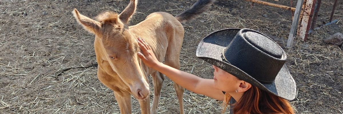 Marycfalcon's profile banner image