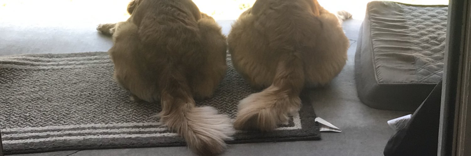 CaileyJeppson's profile banner image