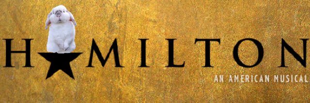 HamMusicalBunny's profile banner image