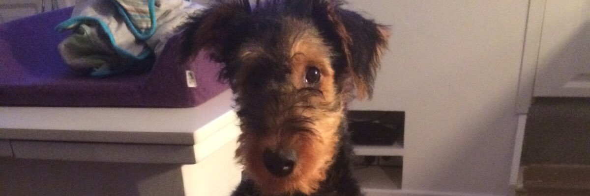 Patrick Walker banner