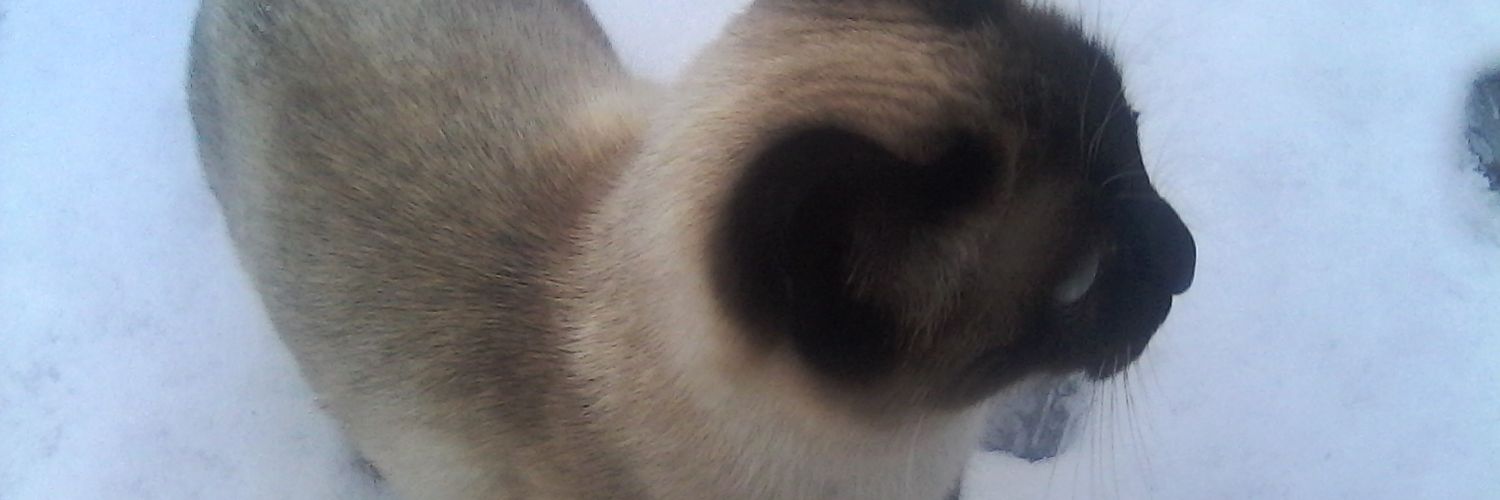 Tomas82176703's profile banner image