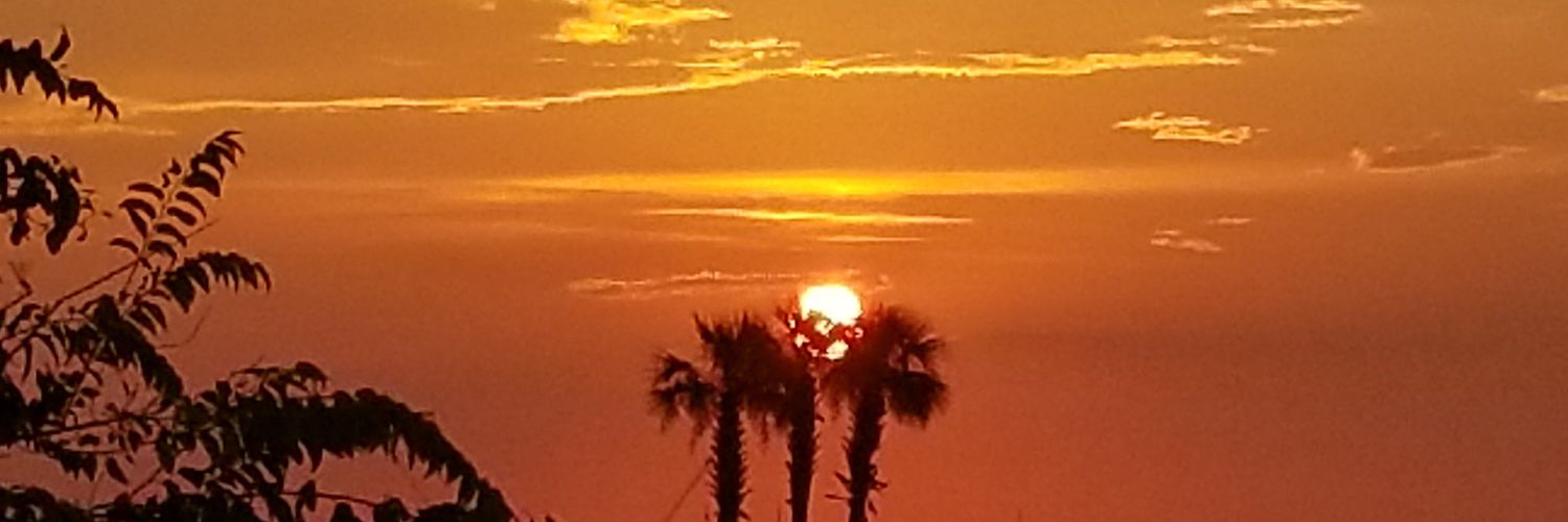 Beachbld21's profile banner image
