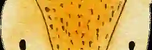 mai08918's profile banner image