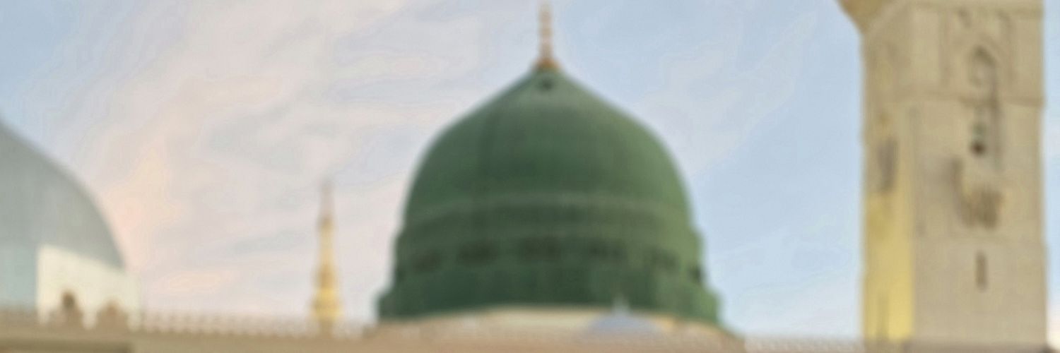 mcaolmez's profile banner image