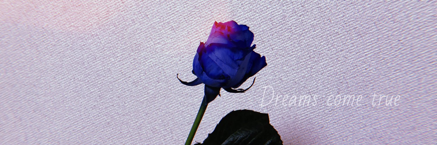 sunflowermkc's profile banner image