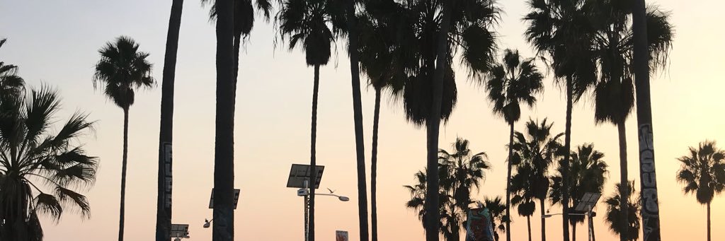 ashleewright94's profile banner image
