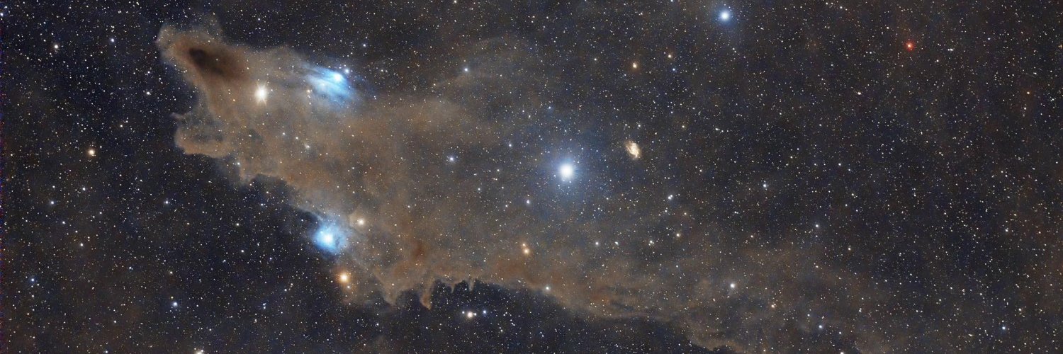 AnthonyWAlonso's profile banner image