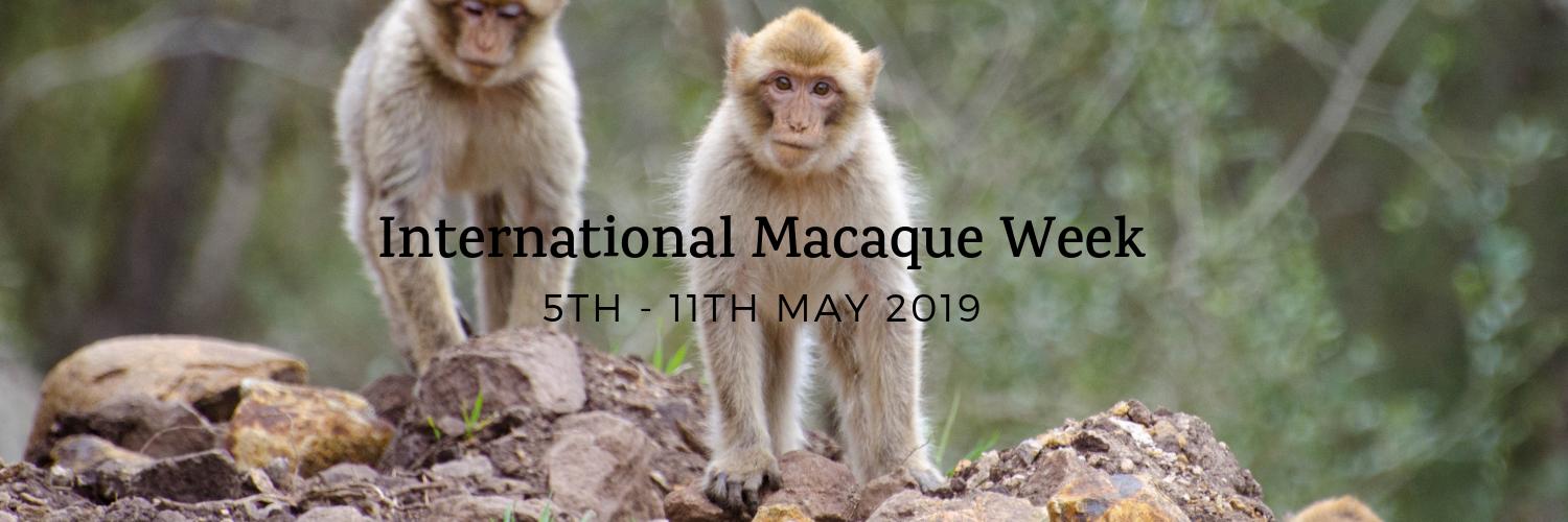 Macaque_Week's profile banner image