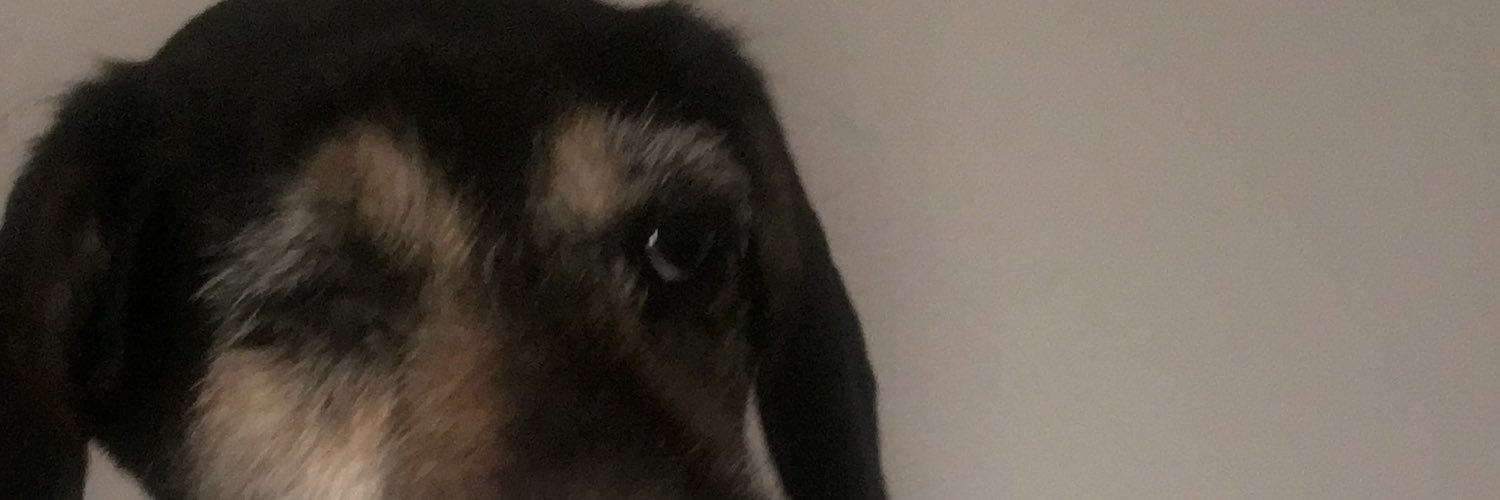 dale_connell's profile banner image