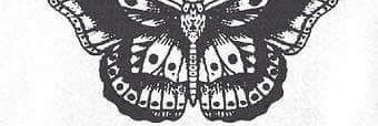 wildest_secrets's profile banner image
