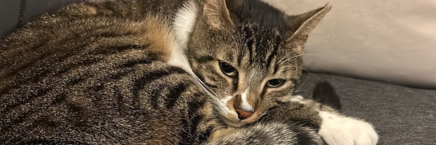 dogukansarap's profile banner image