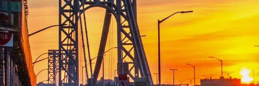 RiyonWolf's profile banner image