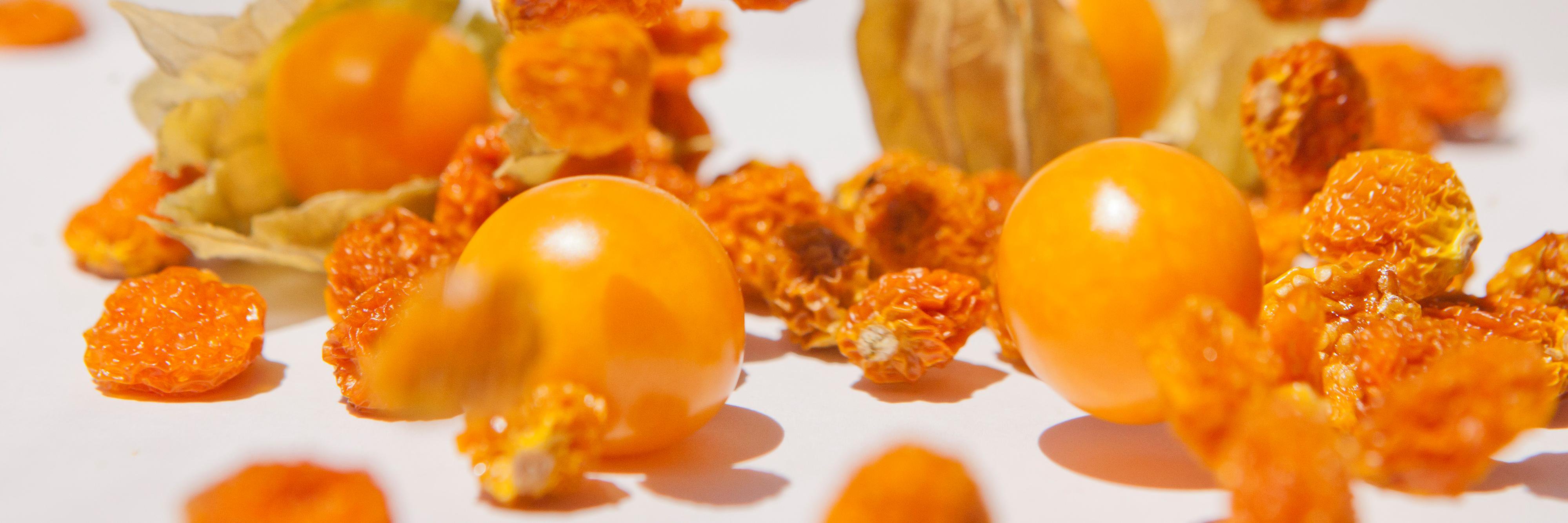 GOLDEN_ECU's profile banner image