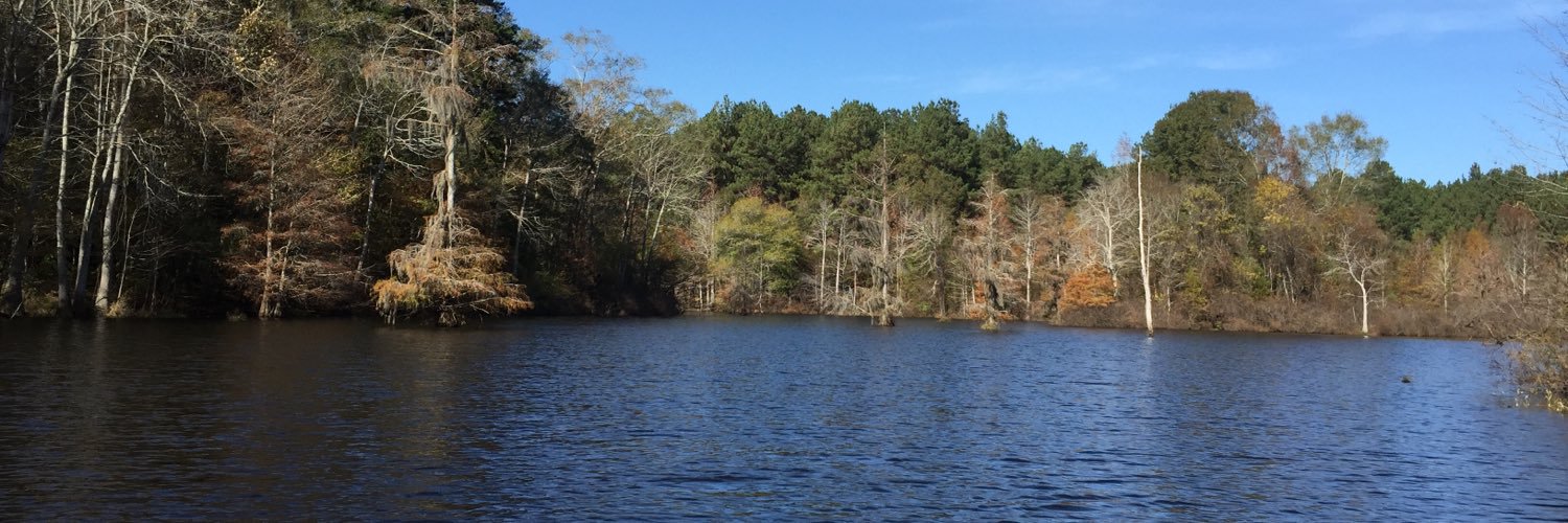 MurrayWindham's profile banner image