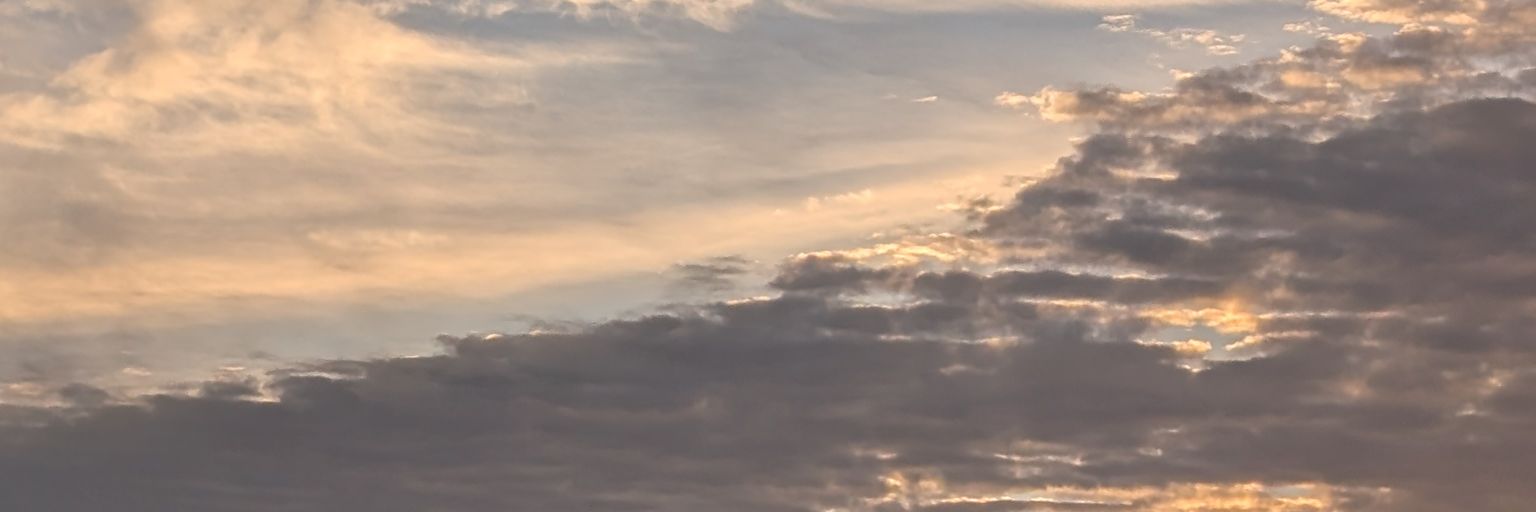 kotoyq's profile banner image
