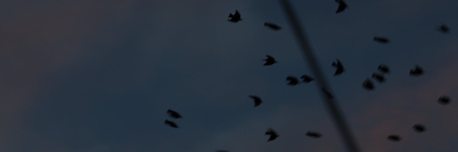 langua___'s profile banner image