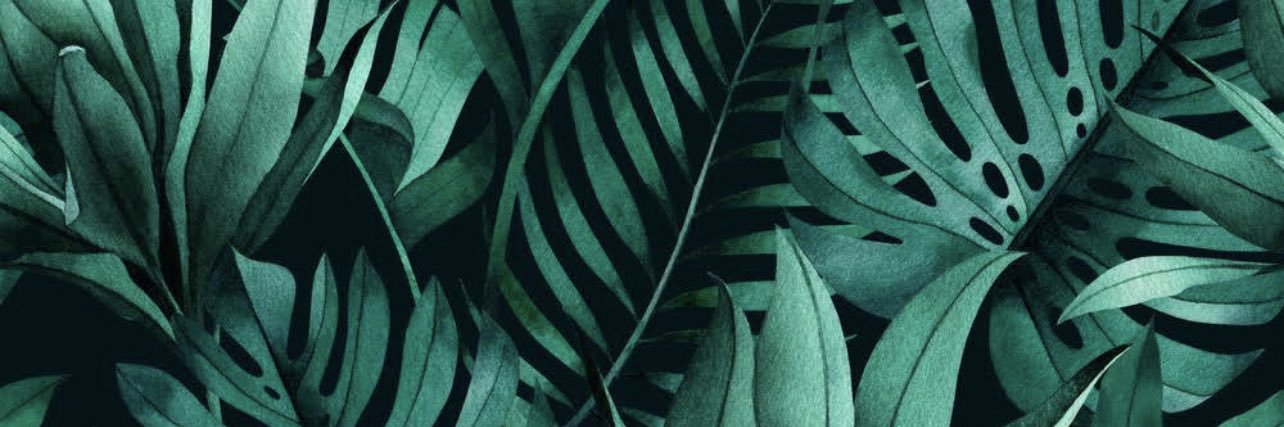 cocaababy__'s profile banner image