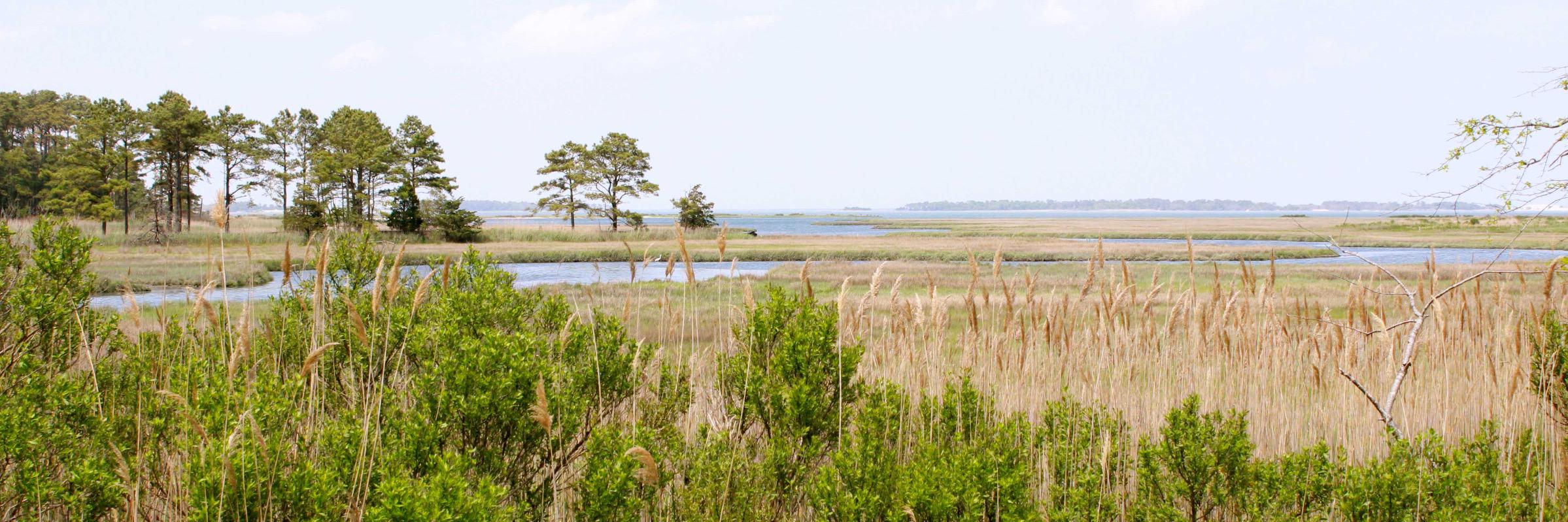 BayForestHomes's profile banner image