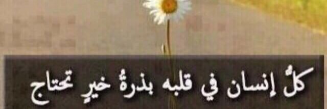 محمد الزايدي banner