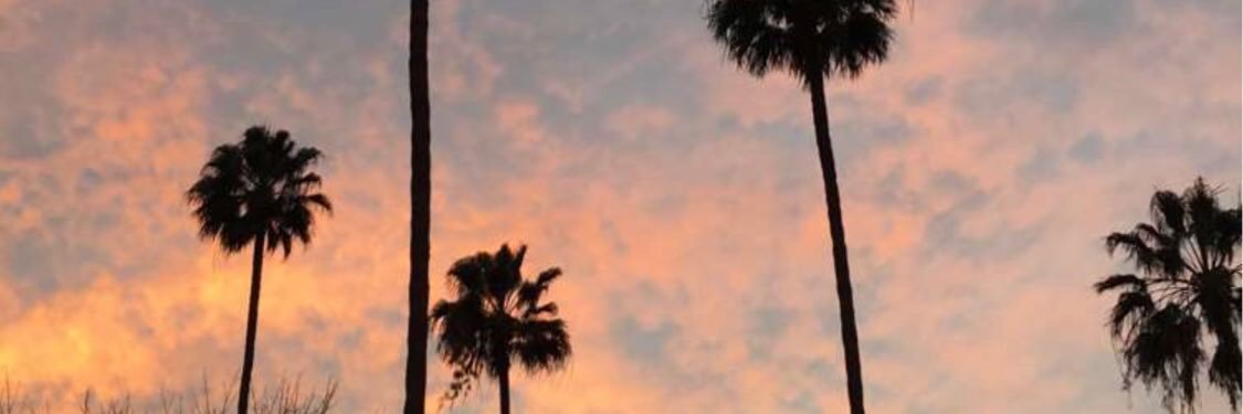 editsbysarahx's profile banner image