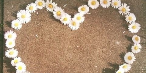 SheilaCorral's profile banner image