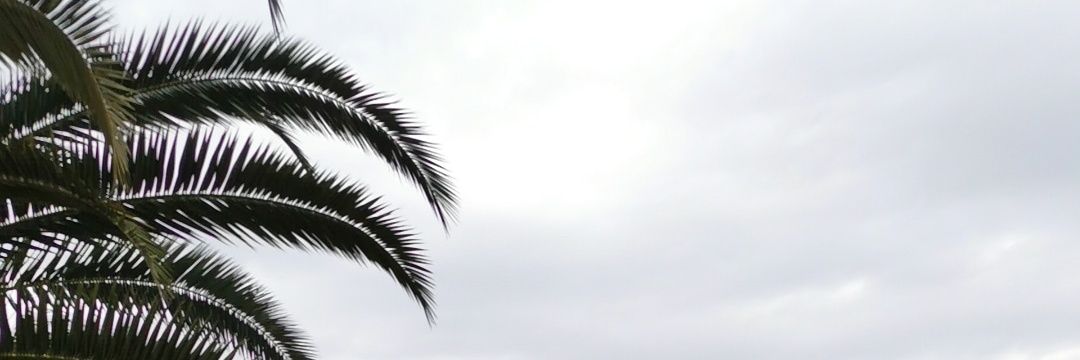 estela__esp's profile banner image