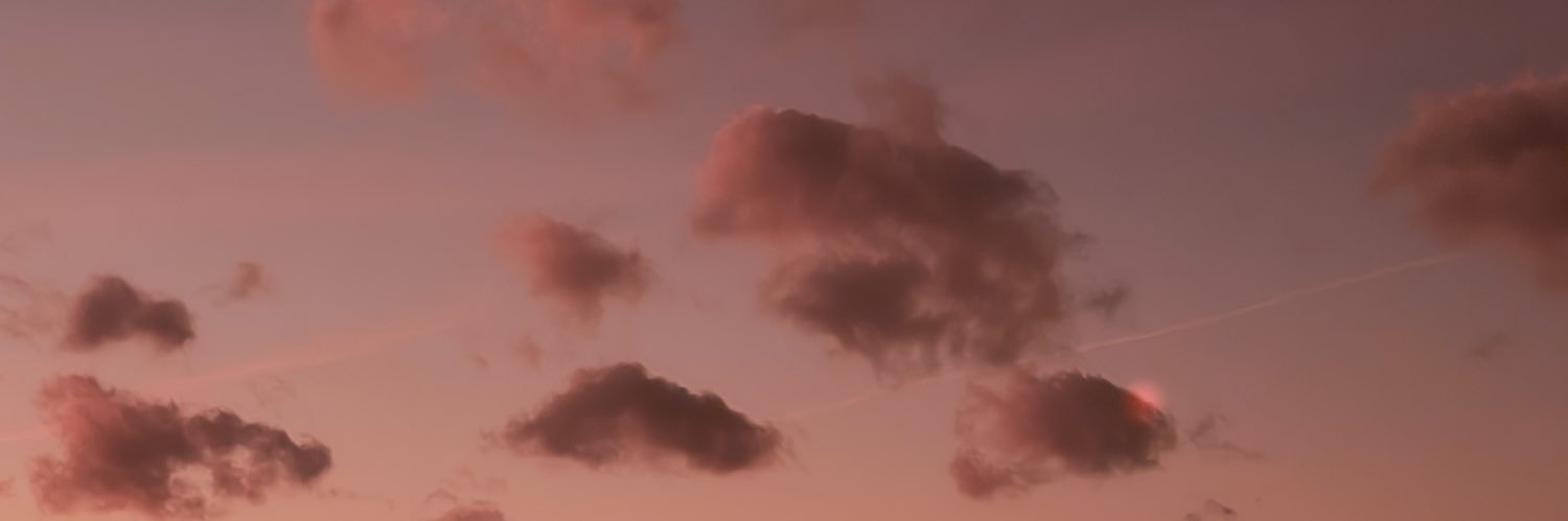 gualgami's profile banner image