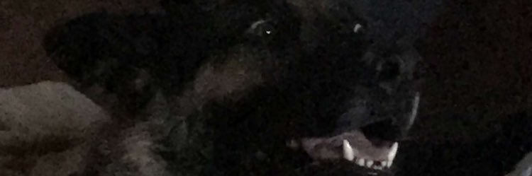 BigBoiTito's profile banner image