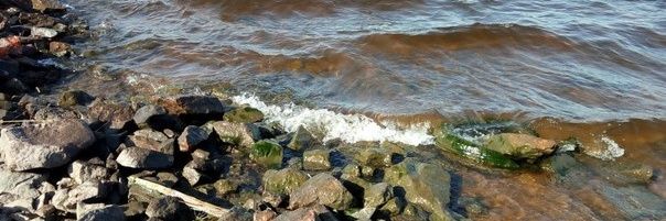 Лисонька banner